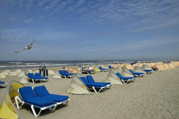 Life@Sea Lägenhet Zandvoort Exteriör bild